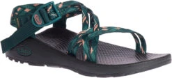 Chaco Women's Z/Cloud X 9 Chaco Women's Z/Cloud X -Shoe Stores chaco womens z cloud x warren pine jch107986 41418.1647288280