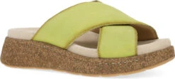 Dansko Bridget -Shoe Stores dansko womens bridget lime burnished suede 7012460300 40295.1742826797