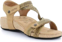 Taos Trulie 13 Taos Trulie -Shoe Stores taos women trulie camel tru 16406 cml 79327.1682088053