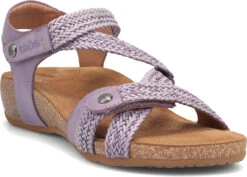 Taos Trulie 17 Taos Trulie -Shoe Stores taos womens trulie lavender tru 16406 lav 38548.1682088054