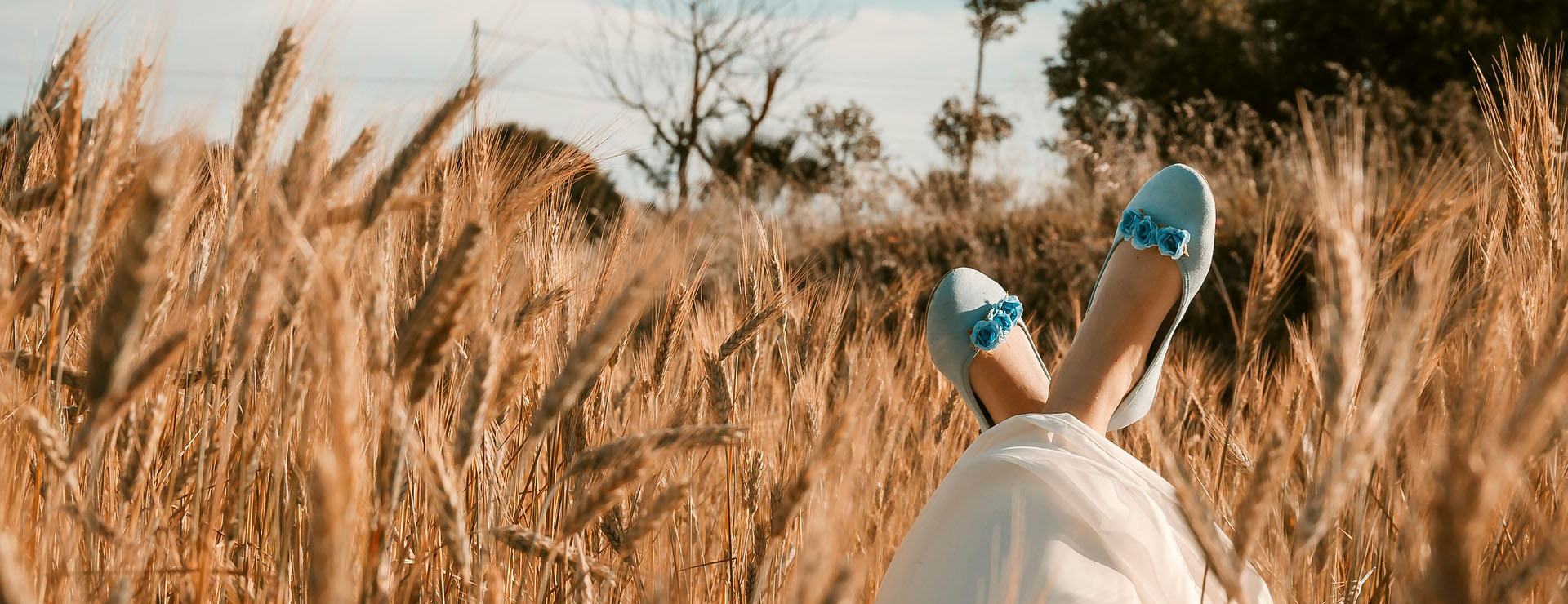 Shoe Stores -Shoe Stores wheat field 6392428 1920
